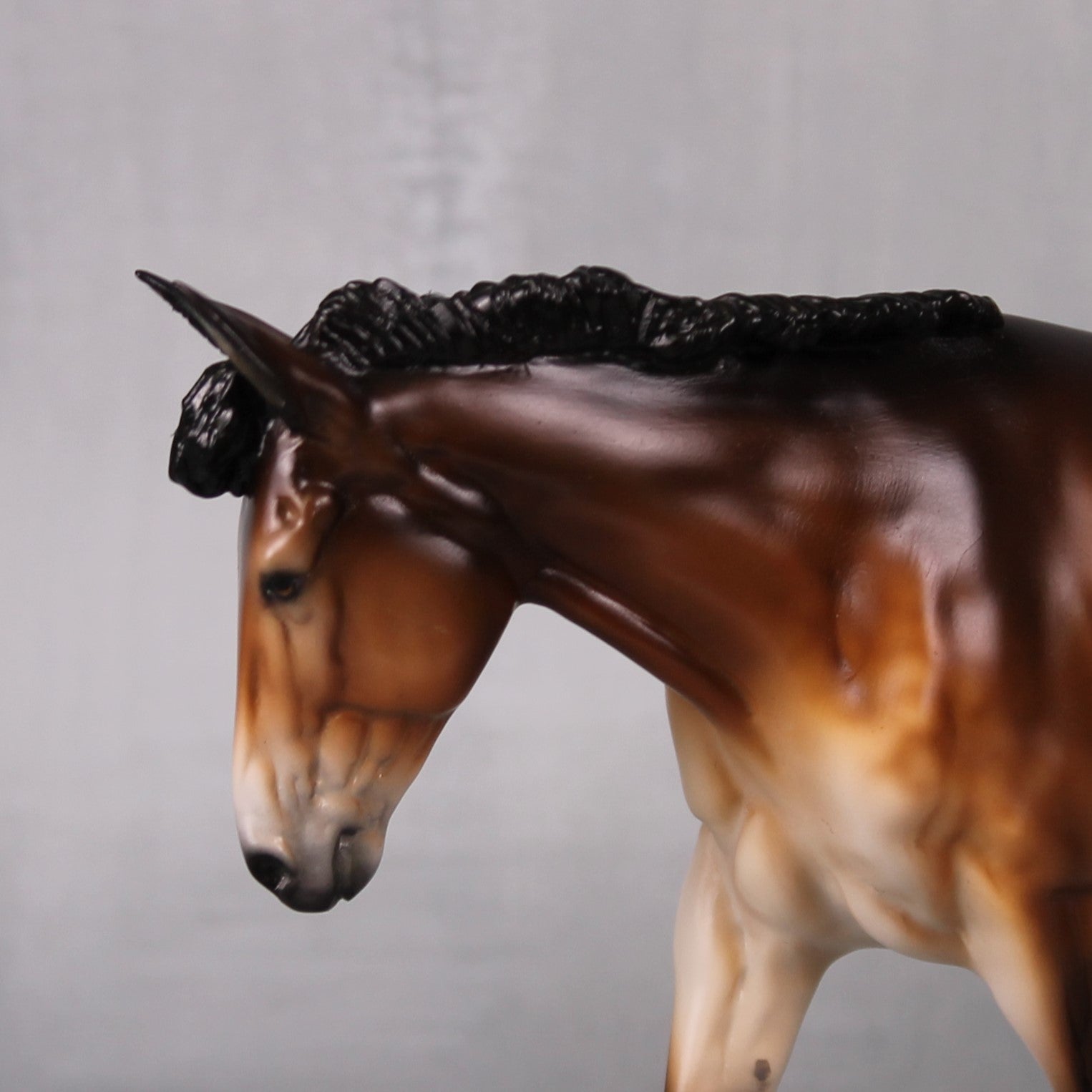 SAMPLE Miss Maple LE-30 Event Run Dappled Bay Pangare Custom Pebble Mule By Ellen Robbins LHS24