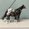 Count The Stars OOAK ISH &amp; Weanling Set By Julie Keim AotH Entry By Jessica Karales EQ24 BEST OFFER 7/16/24