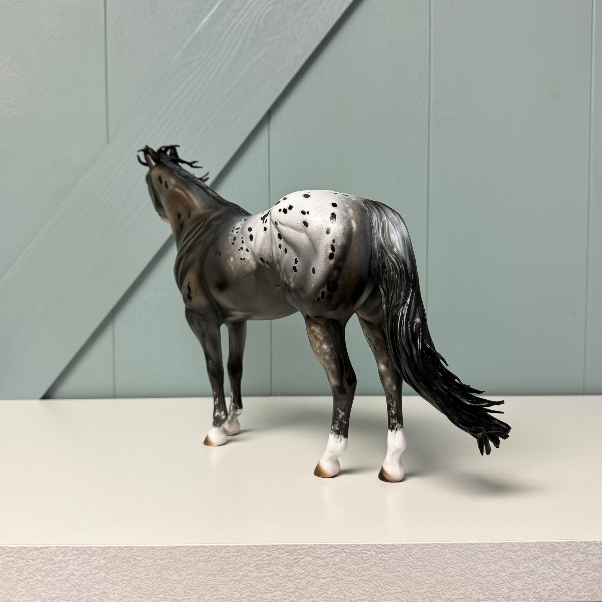 Count The Stars OOAK ISH &amp; Weanling Set By Julie Keim AotH Entry By Jessica Karales EQ24 BEST OFFER 7/16/24