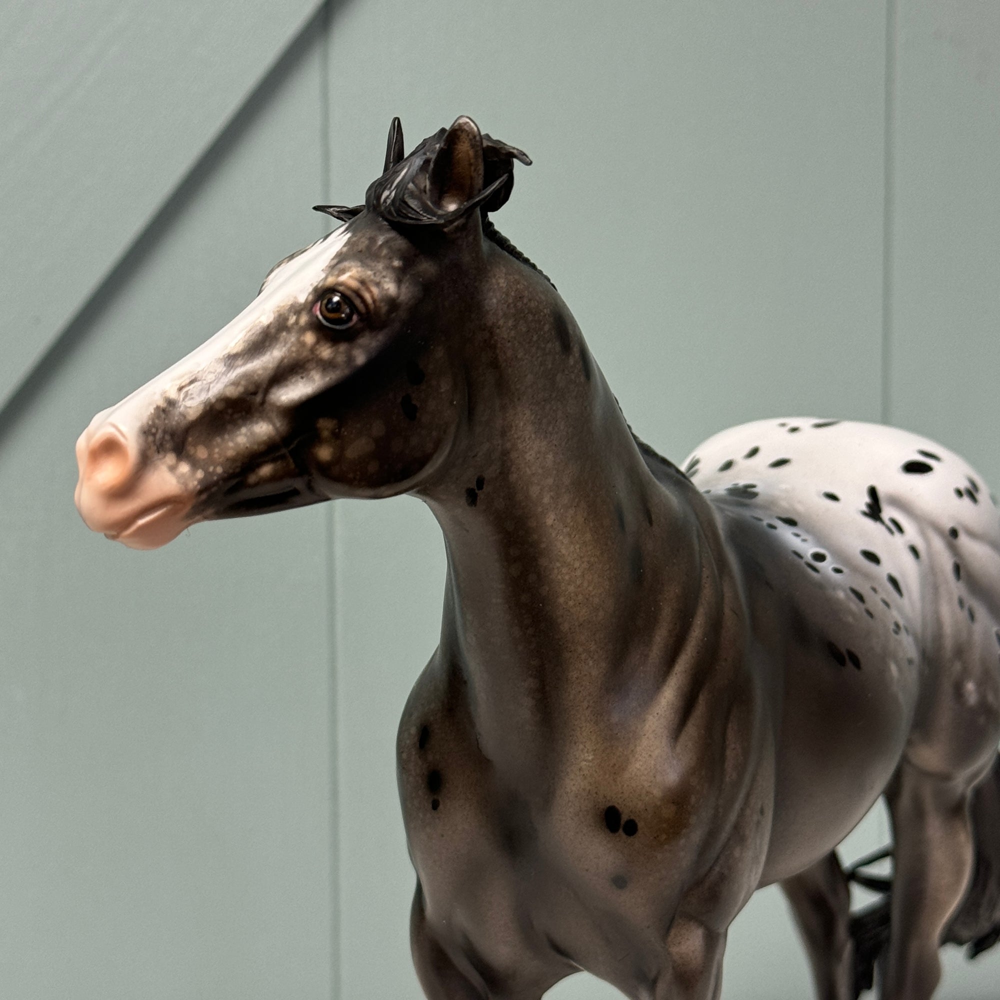 Count The Stars OOAK ISH &amp; Weanling Set By Julie Keim AotH Entry By Jessica Karales EQ24 BEST OFFER 7/16/24