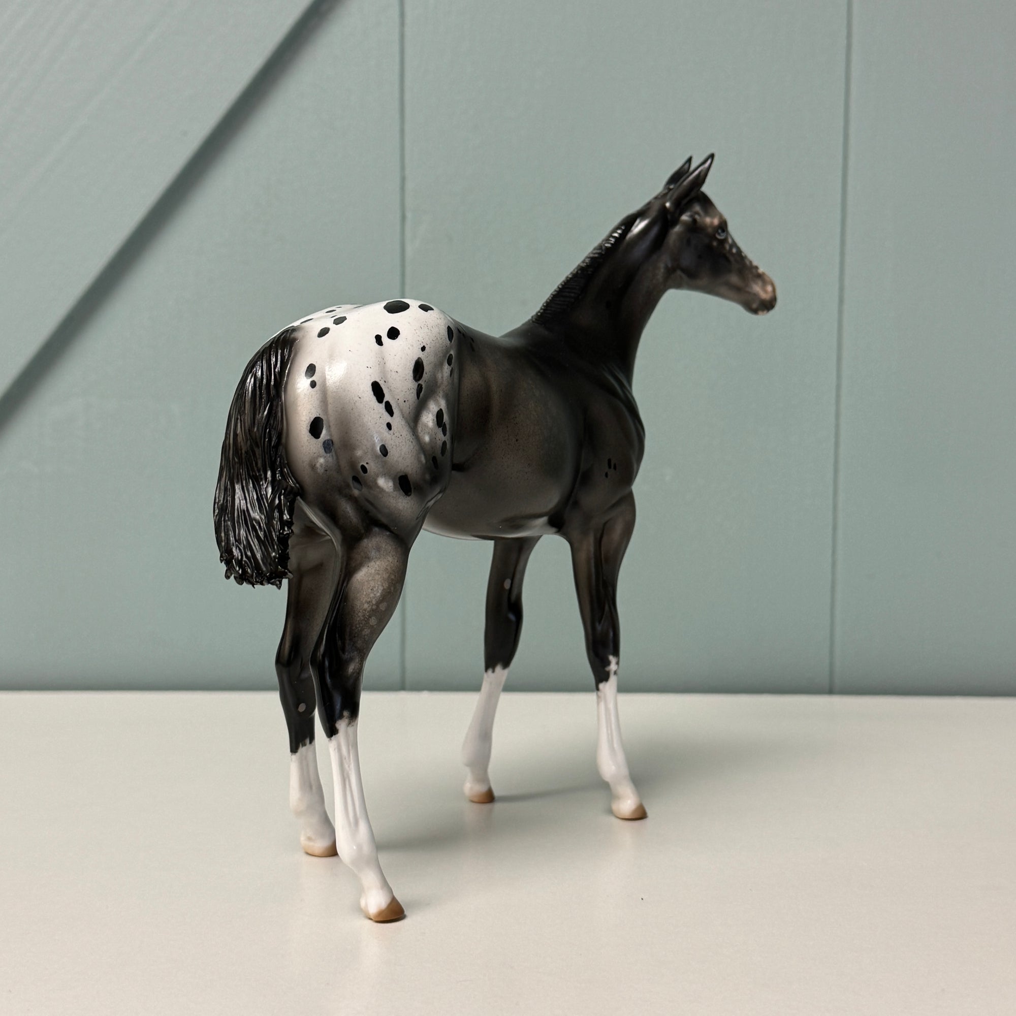 Count The Stars OOAK ISH &amp; Weanling Set By Julie Keim AotH Entry By Jessica Karales EQ24 BEST OFFER 7/16/24