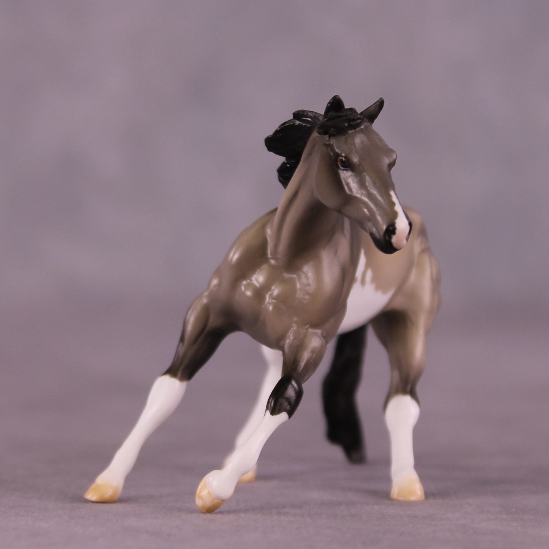 "Hunter" OOAK Cutter Chip by Julie Keim EQ25