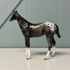 Count The Stars OOAK ISH &amp; Weanling Set By Julie Keim AotH Entry By Jessica Karales EQ24 BEST OFFER 7/16/24