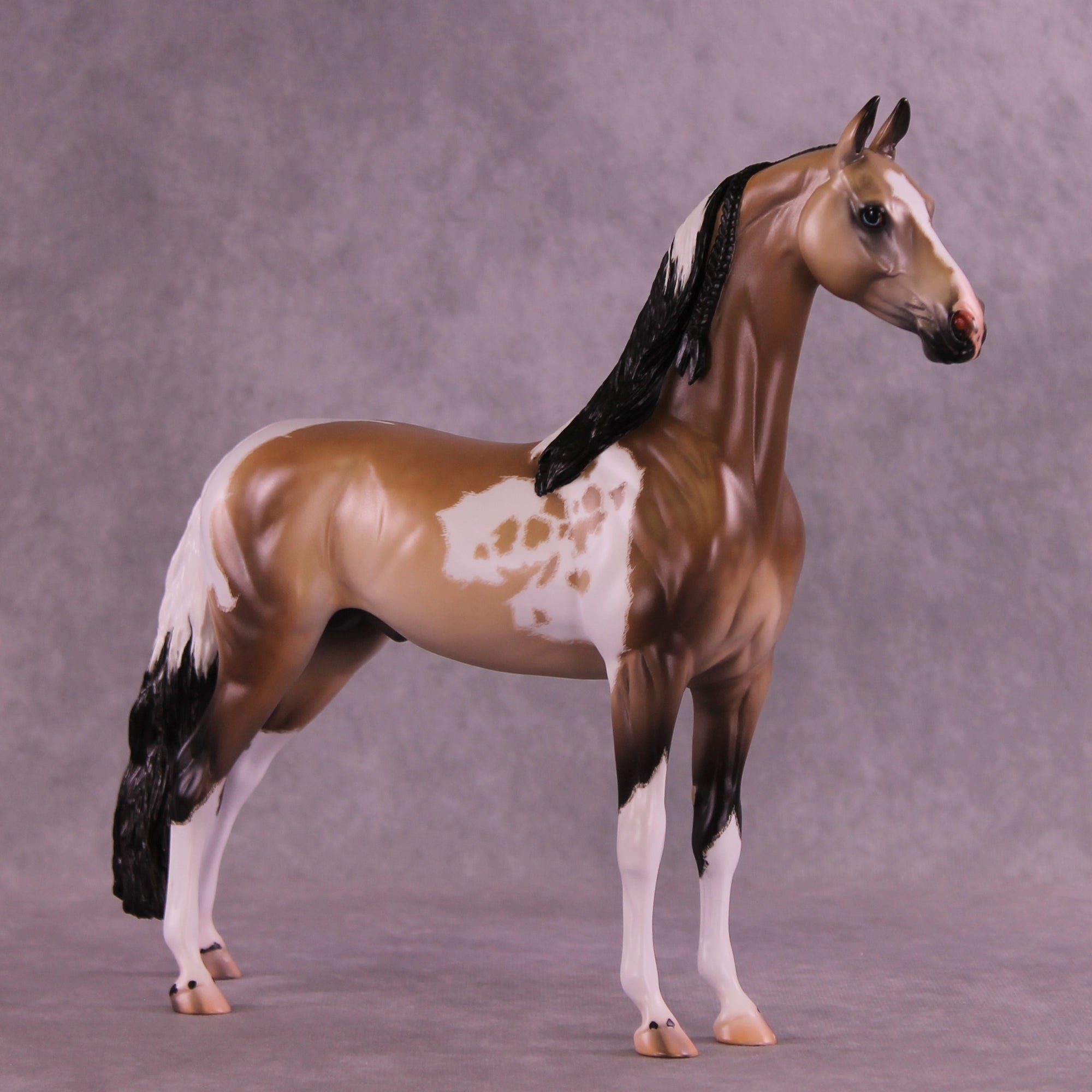 Electric Eye OOAK EFCM Arabian Stallion by Caroline Boydston &amp; Carissa Mathews Best Offer 1.6.2026