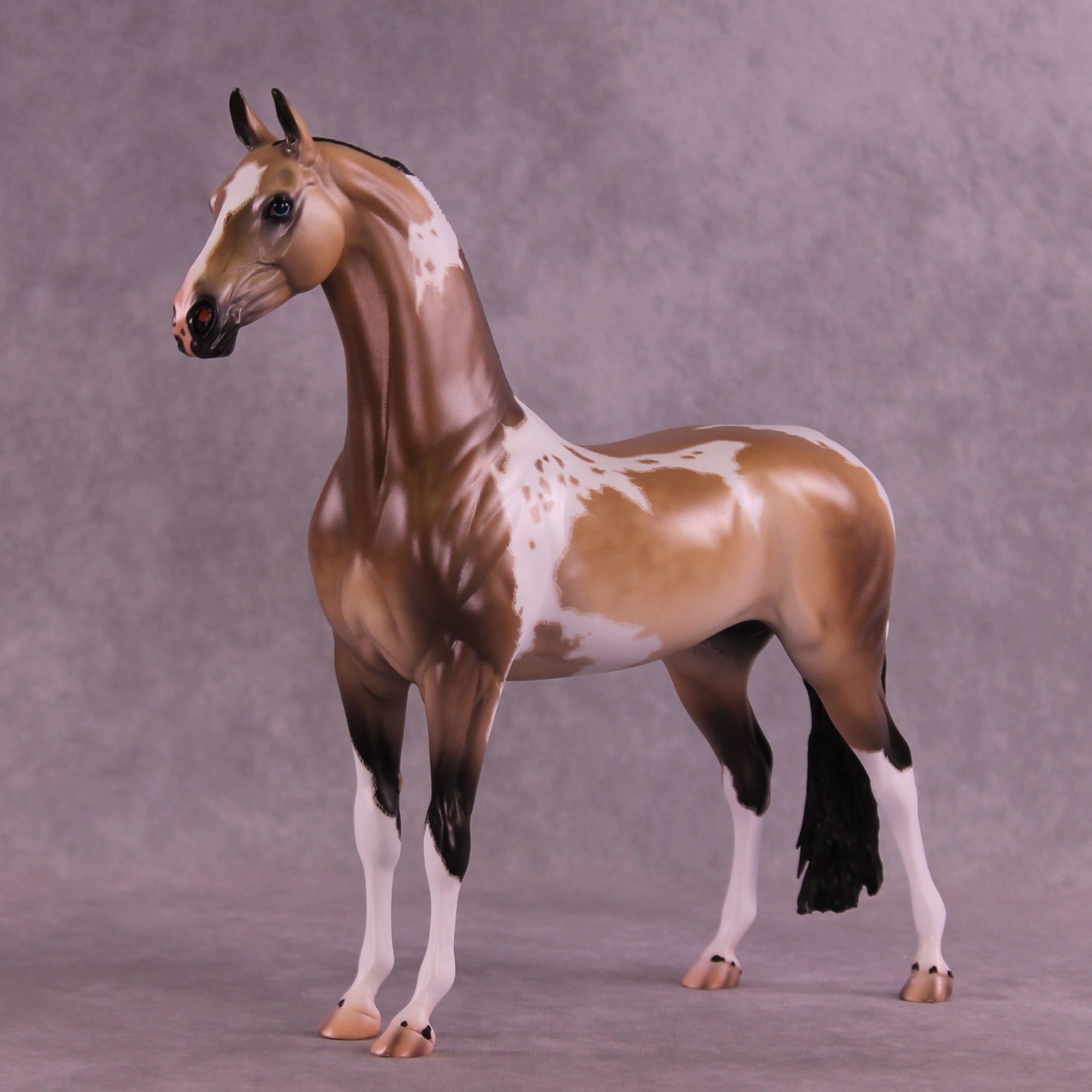Electric Eye OOAK EFCM Arabian Stallion by Caroline Boydston &amp; Carissa Mathews Best Offer 1.6.2026