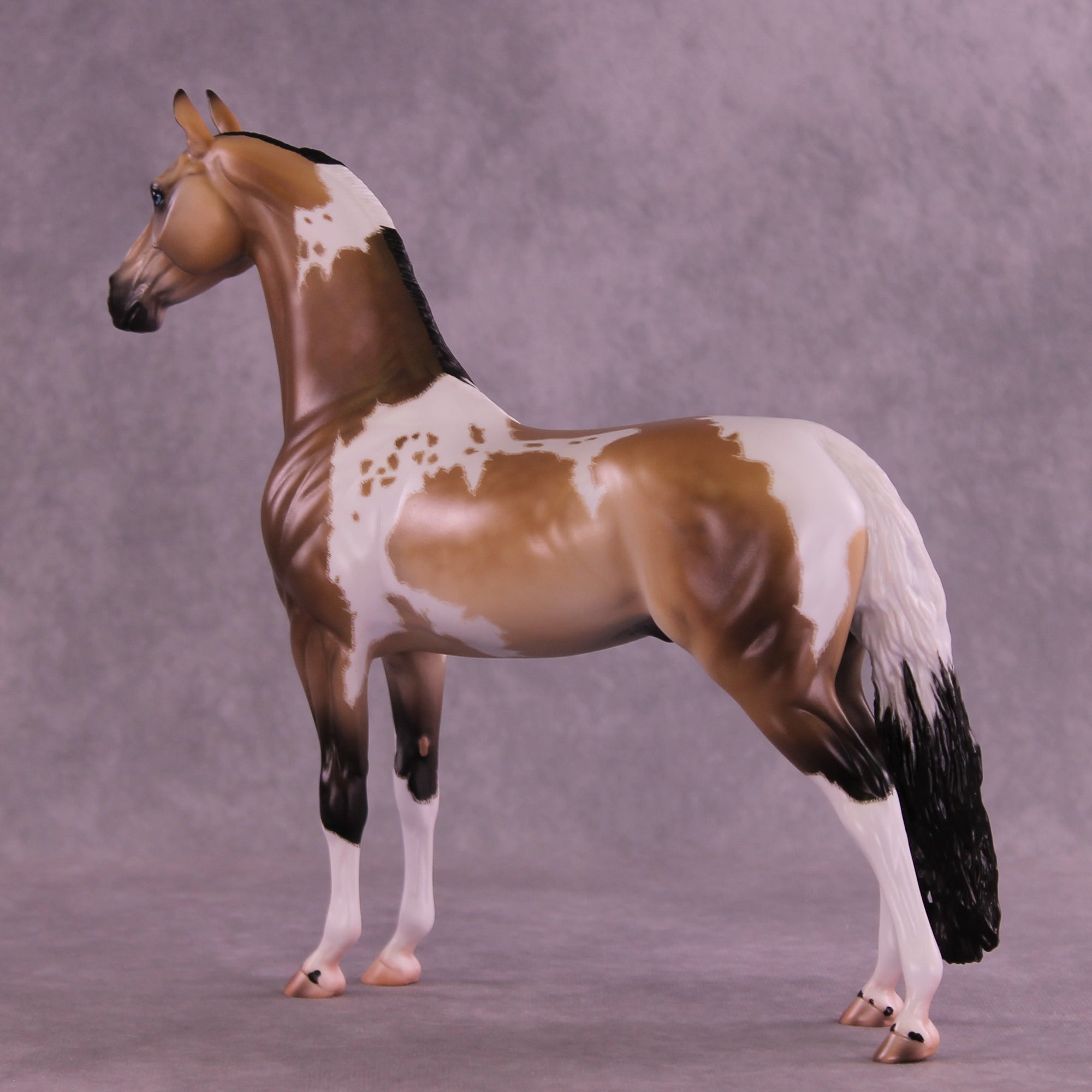Electric Eye OOAK EFCM Arabian Stallion by Caroline Boydston &amp; Carissa Mathews Best Offer 1.6.2026