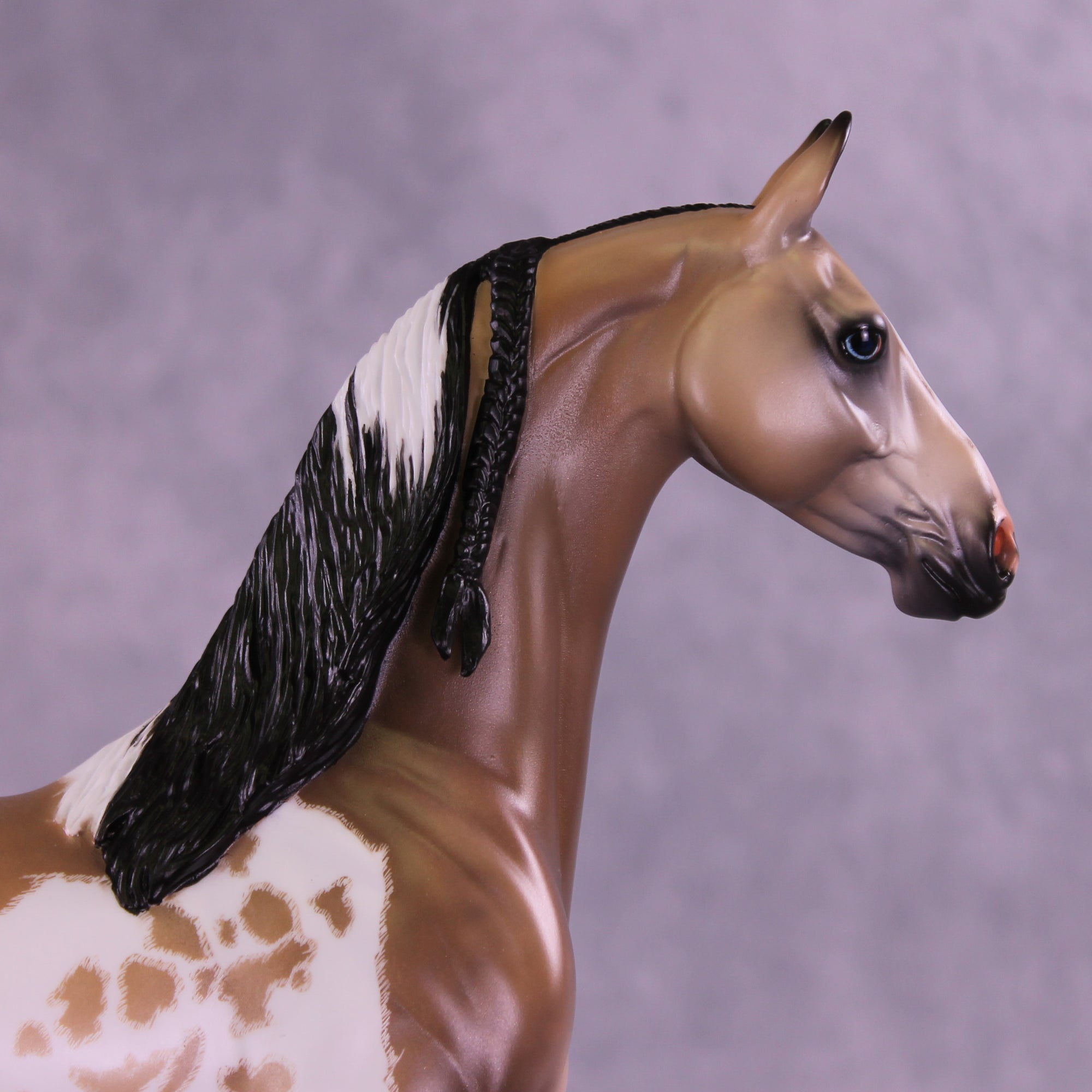 Electric Eye OOAK EFCM Arabian Stallion by Caroline Boydston &amp; Carissa Mathews Best Offer 1.6.2026