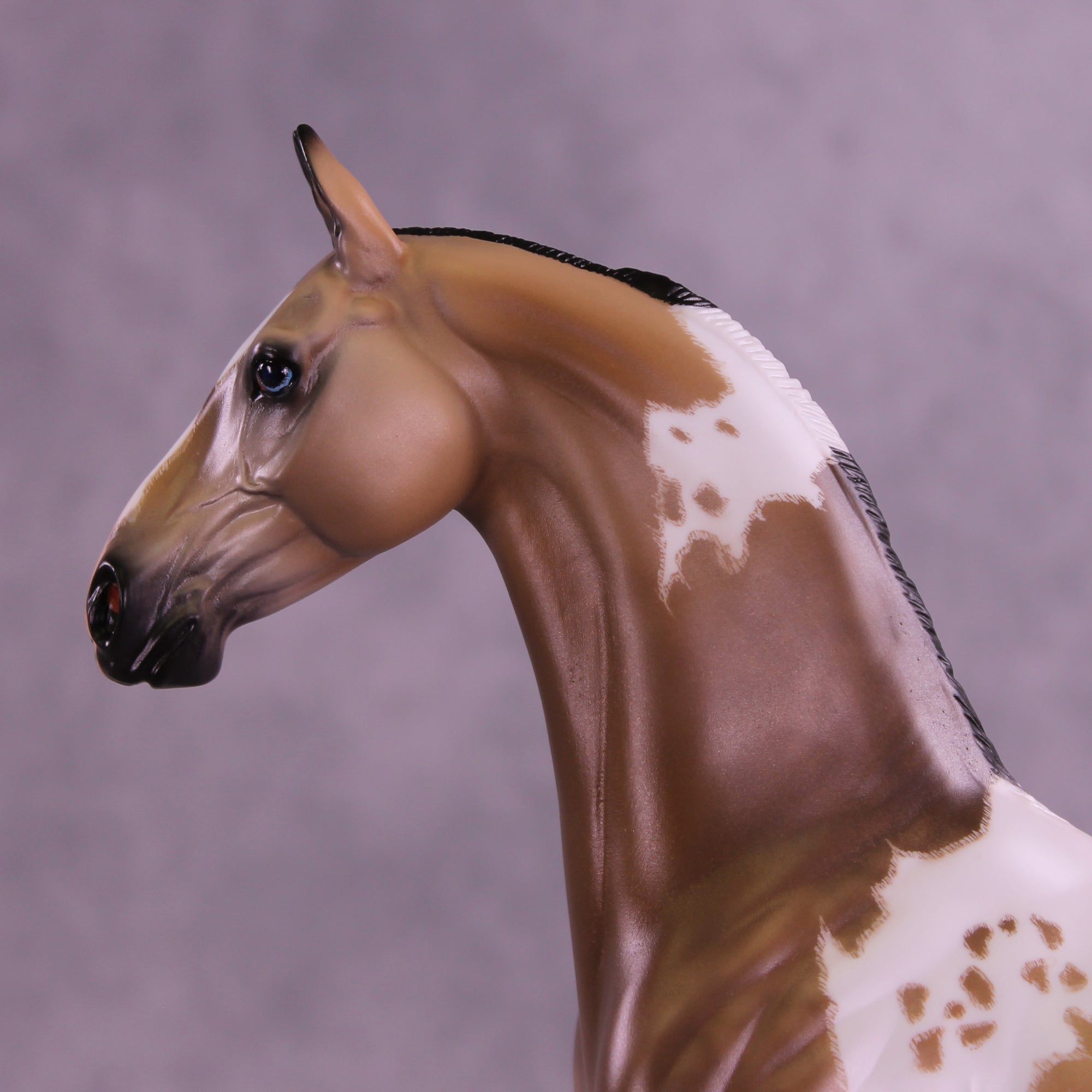 Electric Eye OOAK EFCM Arabian Stallion by Caroline Boydston &amp; Carissa Mathews Best Offer 1.6.2026