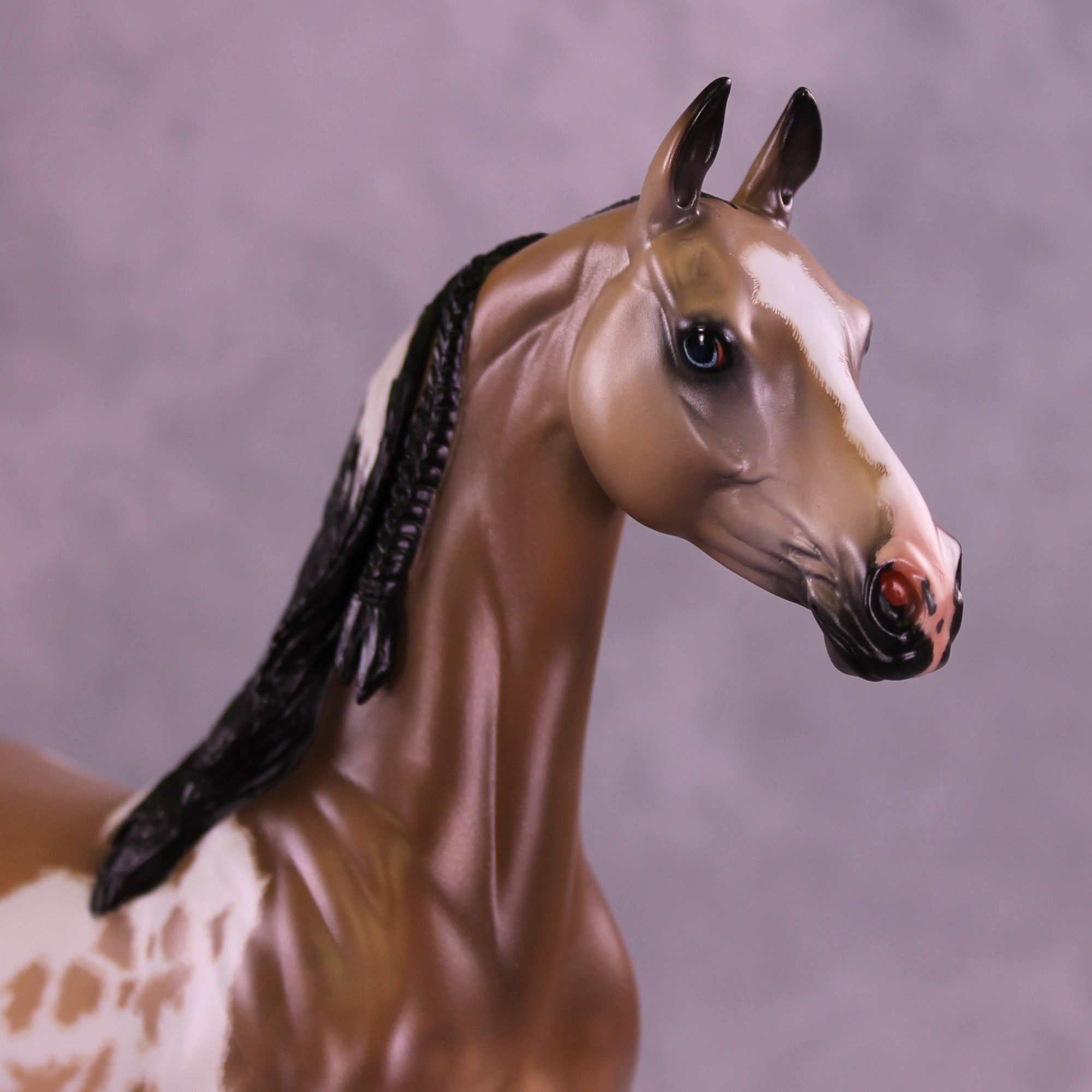 Electric Eye OOAK EFCM Arabian Stallion by Caroline Boydston &amp; Carissa Mathews Best Offer 1.6.2026