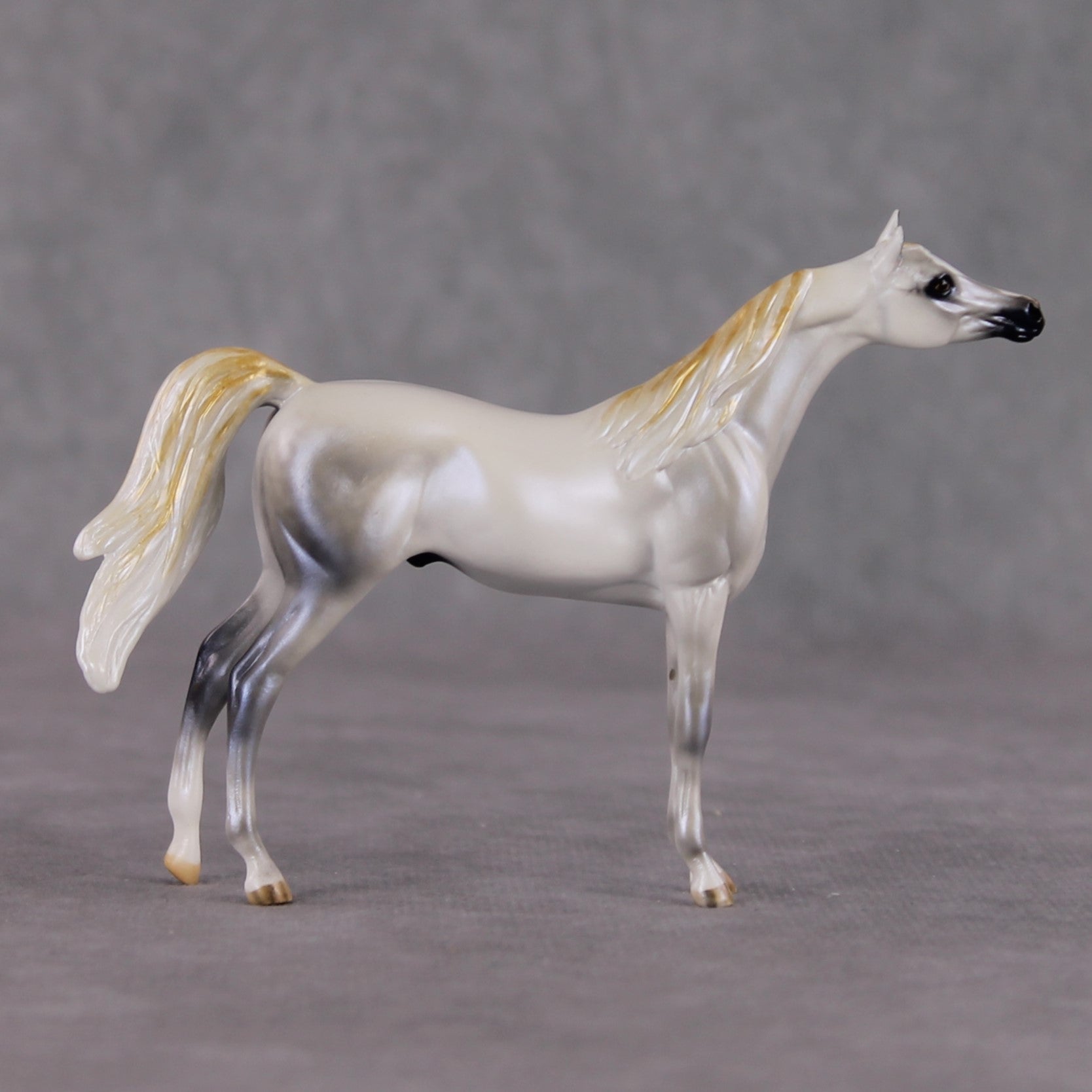 "Mini Bianco" nel Blu LE-3 Pearl Dapple Grey Arabian Chip By Carrie Keller-Secret Surprise Chip Drop