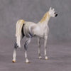 Mini Bianco nel Blu LE-3 Pearl Dapple Grey Arabian Chip By Carrie Keller-Secret Surprise Chip Drop