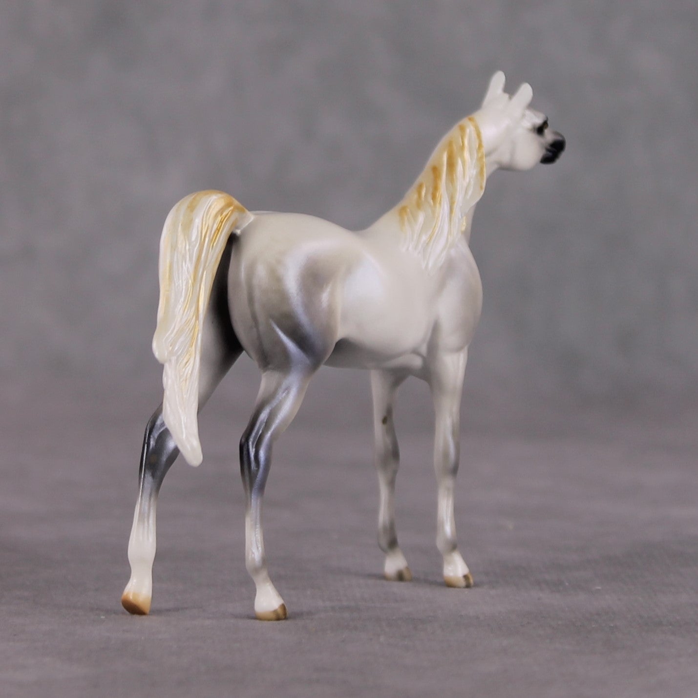"Mini Bianco" nel Blu LE-3 Pearl Dapple Grey Arabian Chip By Carrie Keller-Secret Surprise Chip Drop