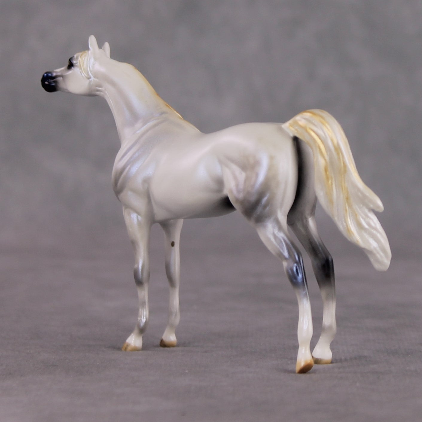 "Mini Bianco" nel Blu LE-3 Pearl Dapple Grey Arabian Chip By Carrie Keller-Secret Surprise Chip Drop