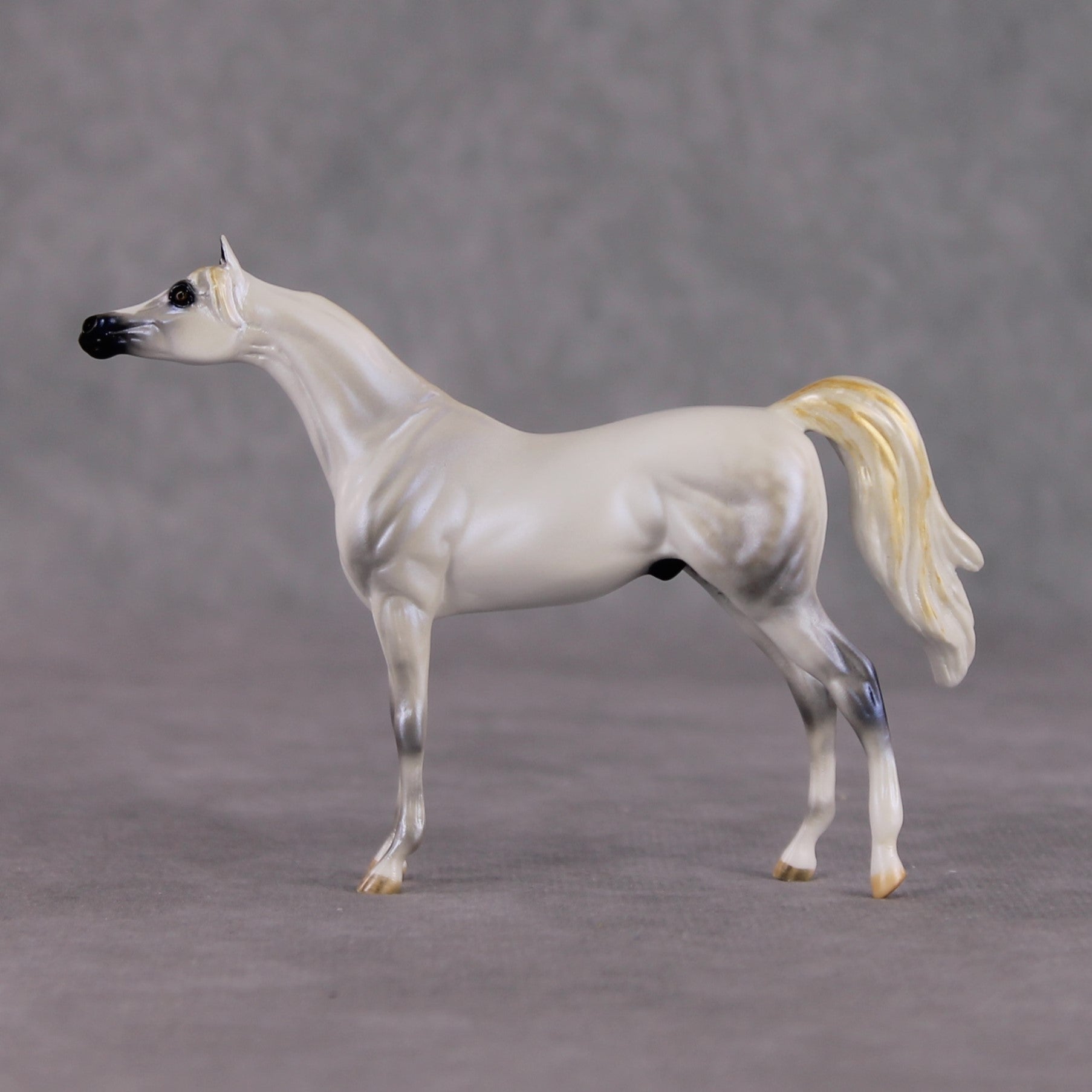 "Mini Bianco" nel Blu LE-3 Pearl Dapple Grey Arabian Chip By Carrie Keller-Secret Surprise Chip Drop