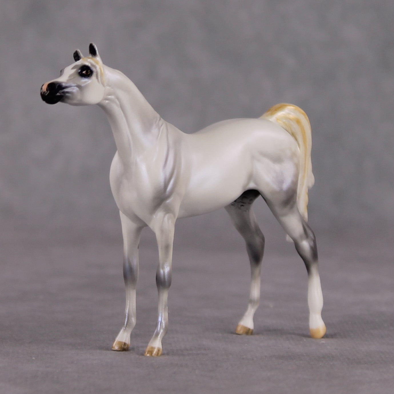 "Mini Bianco" nel Blu LE-3 Pearl Dapple Grey Arabian Chip By Carrie Keller-Secret Surprise Chip Drop