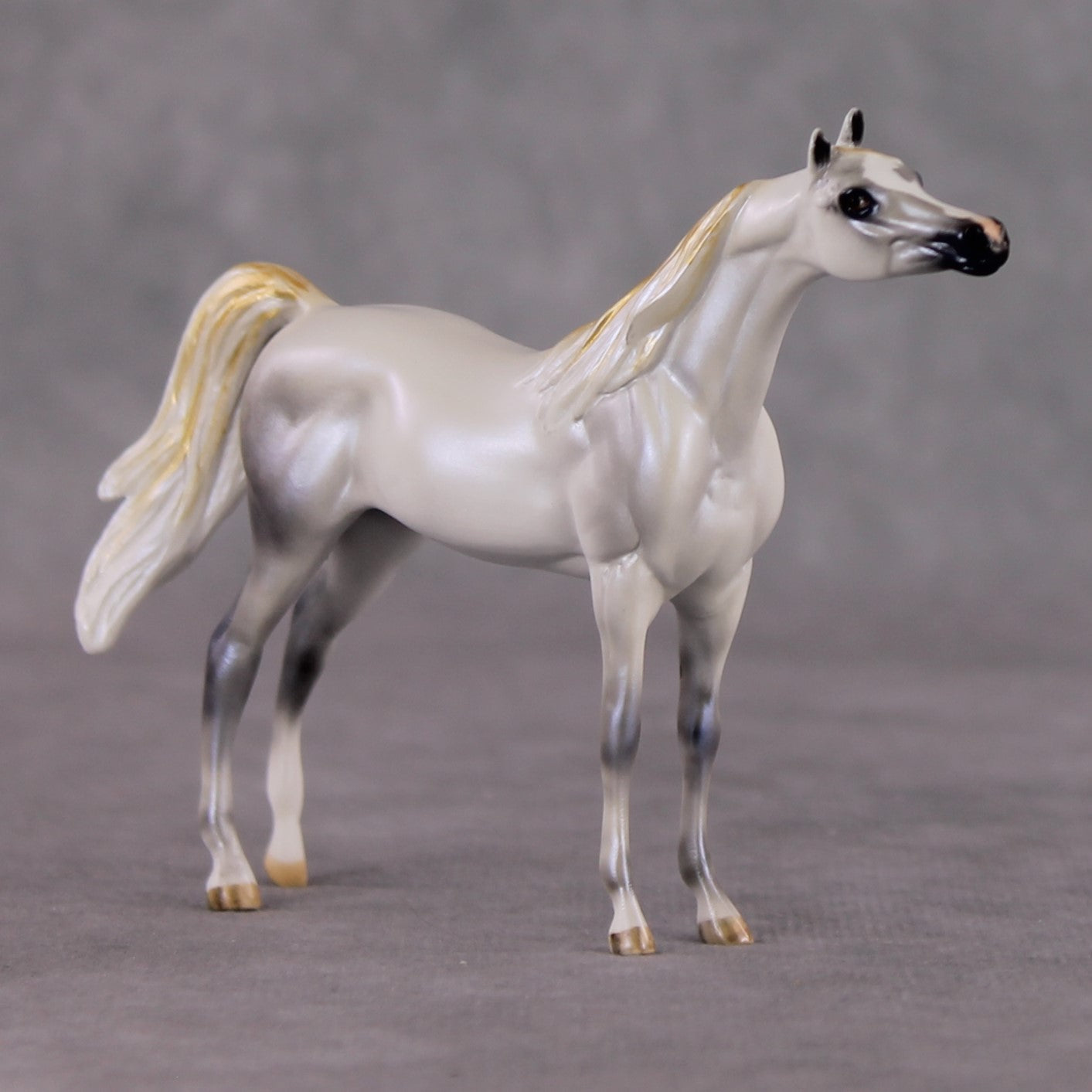 "Mini Bianco" nel Blu LE-3 Pearl Dapple Grey Arabian Chip By Carrie Keller-Secret Surprise Chip Drop