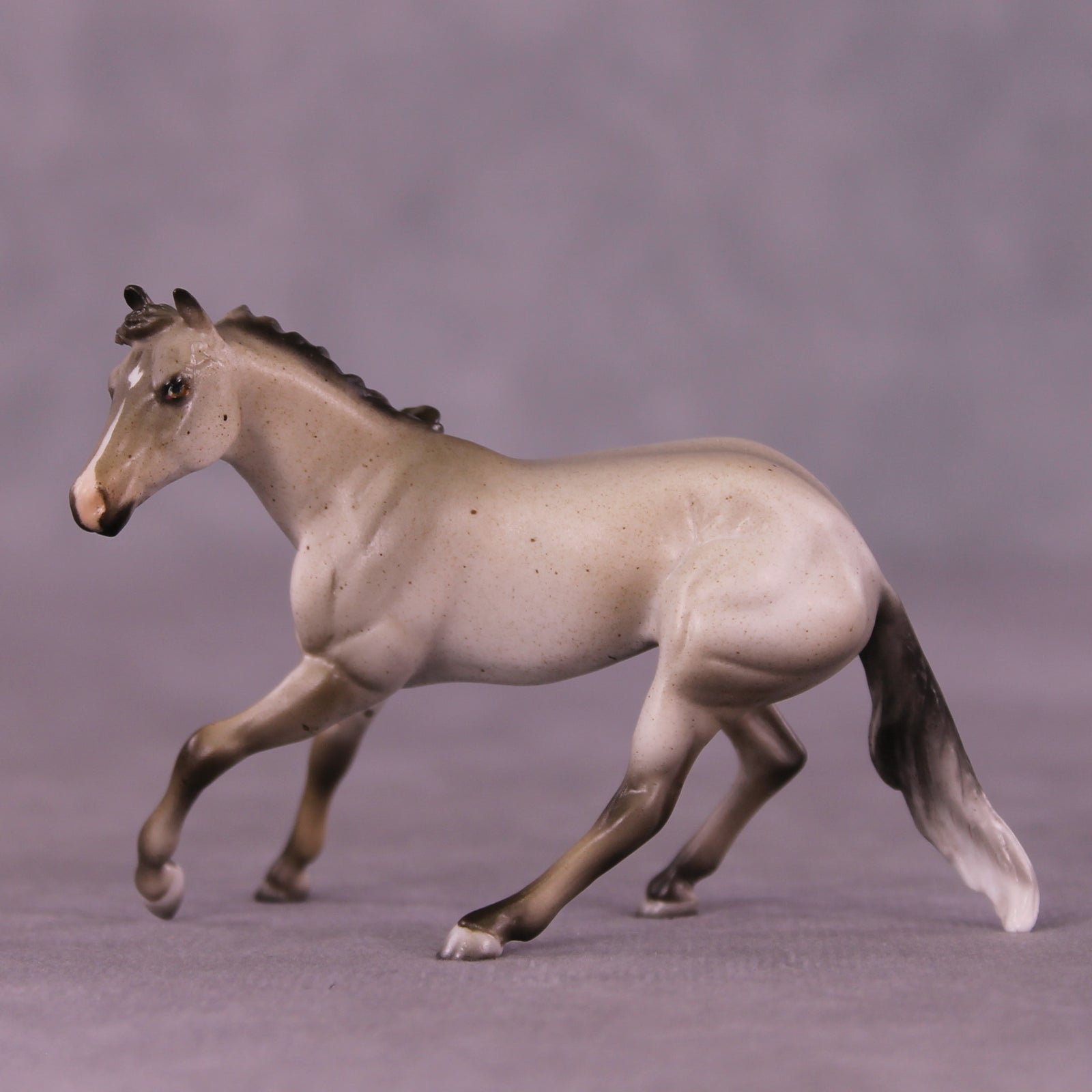 Shark Smile OOAK Cutter Chip by Julie Keim LHS25