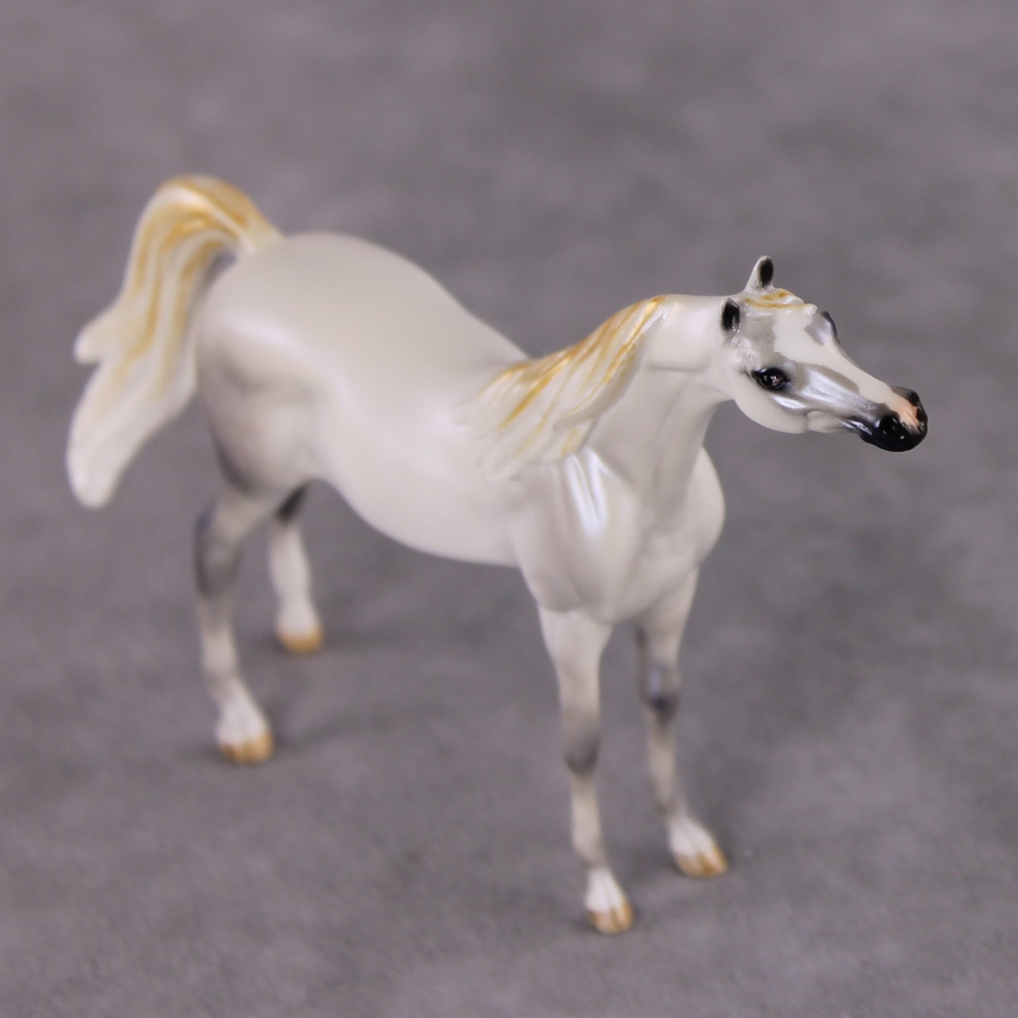 "Mini Bianco" nel Blu LE-3 Pearl Dapple Grey Arabian Chip By Carrie Keller-Secret Surprise Chip Drop