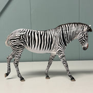 Biscuits & Grevy OOAK Pebble Mule Customized into Grevy Zebra By Jess Hamill EQ24 BEST OFFER 7/16/24