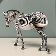 Biscuits & Grevy OOAK Pebble Mule Customized into Grevy Zebra By Jess Hamill EQ24 BEST OFFER 7/16/24