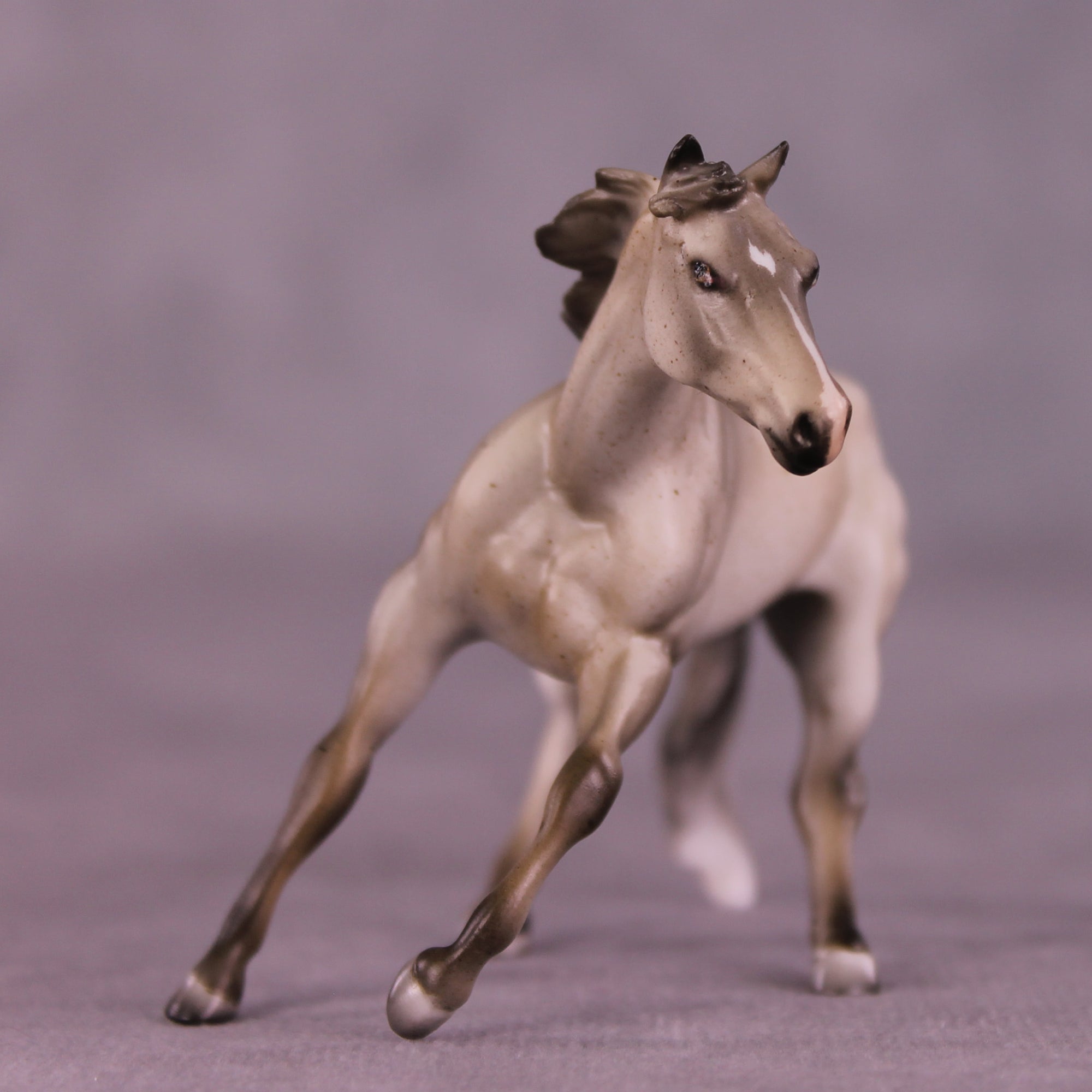 Shark Smile OOAK Cutter Chip by Julie Keim LHS25