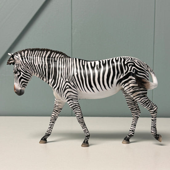 Biscuits & Grevy OOAK Pebble Mule Customized into Grevy Zebra By Jess Hamill EQ24 BEST OFFER 7/16/24