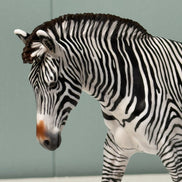 Biscuits & Grevy OOAK Pebble Mule Customized into Grevy Zebra By Jess Hamill EQ24 BEST OFFER 7/16/24