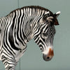 Biscuits &amp; Grevy OOAK Pebble Mule Customized into Grevy Zebra By Jess Hamill EQ24 BEST OFFER 7/16/24