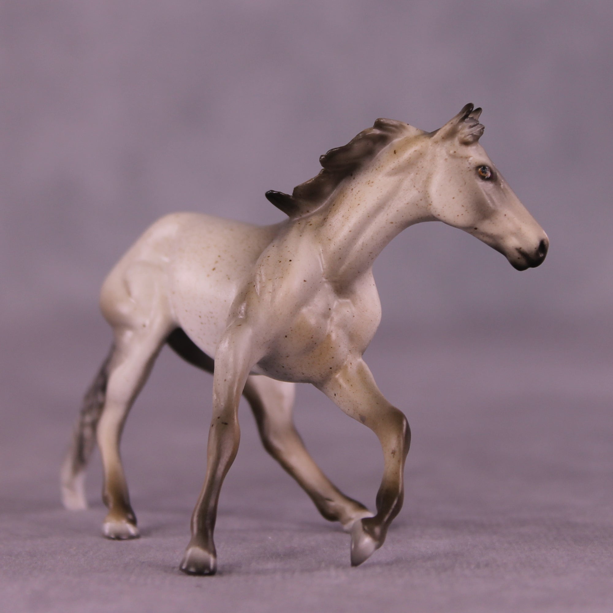 Shark Smile OOAK Cutter Chip by Julie Keim LHS25