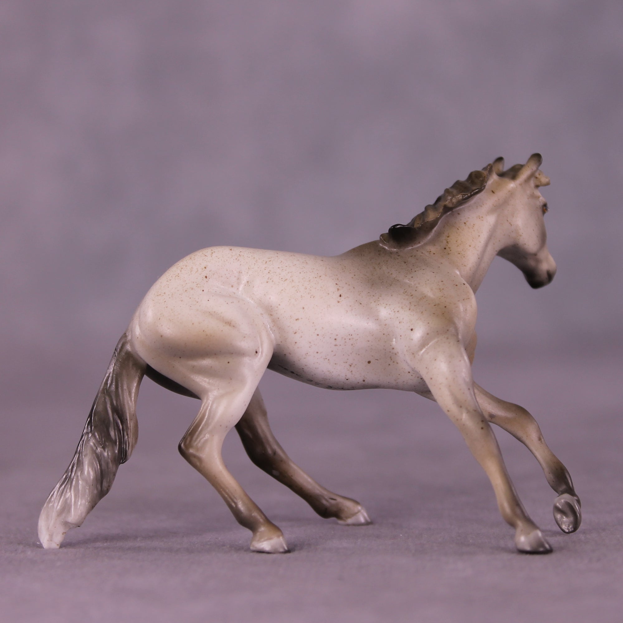 Shark Smile OOAK Cutter Chip by Julie Keim LHS25