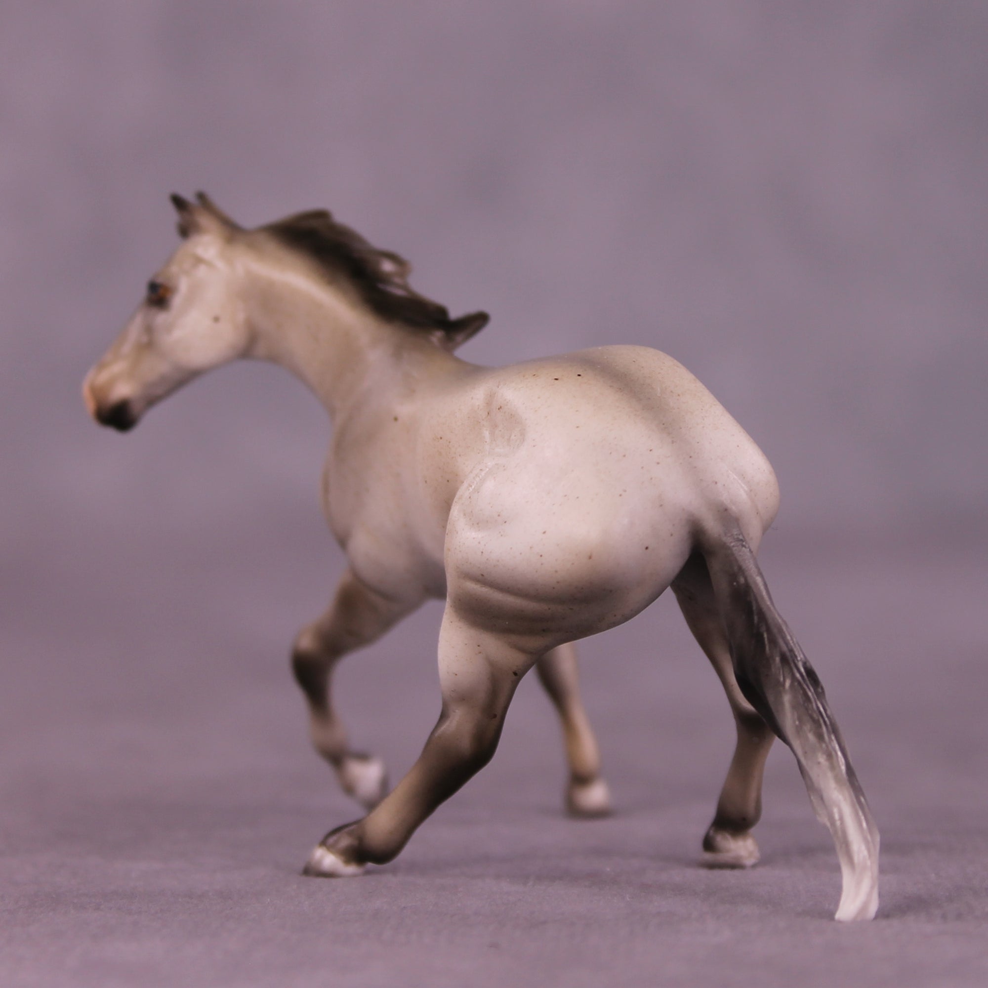 Shark Smile OOAK Cutter Chip by Julie Keim LHS25