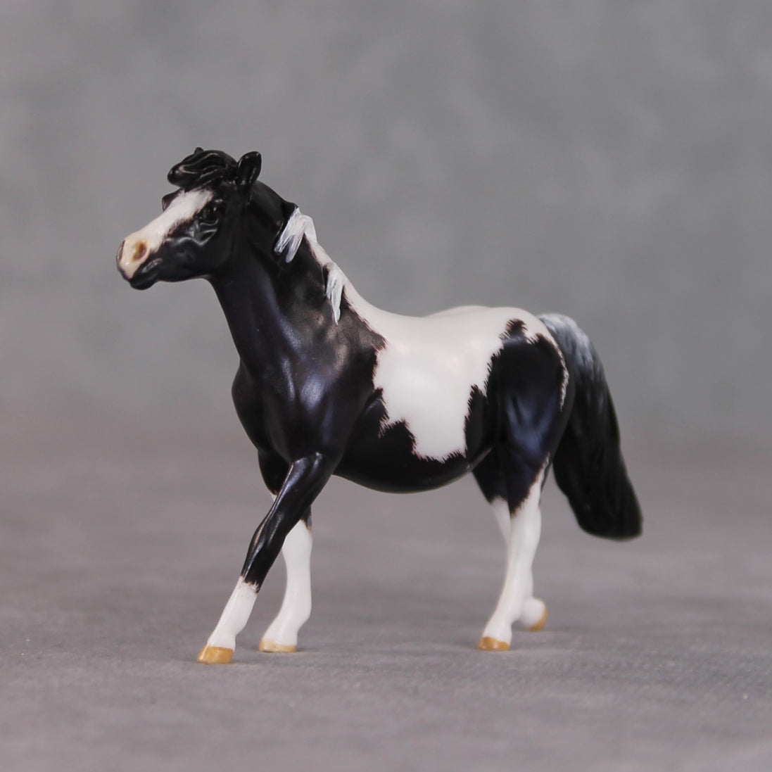 "Breakfast Burrito" OOAK Custom Blue Black Pinto Pony Chip By Kristen Cermele - Gemstone Series