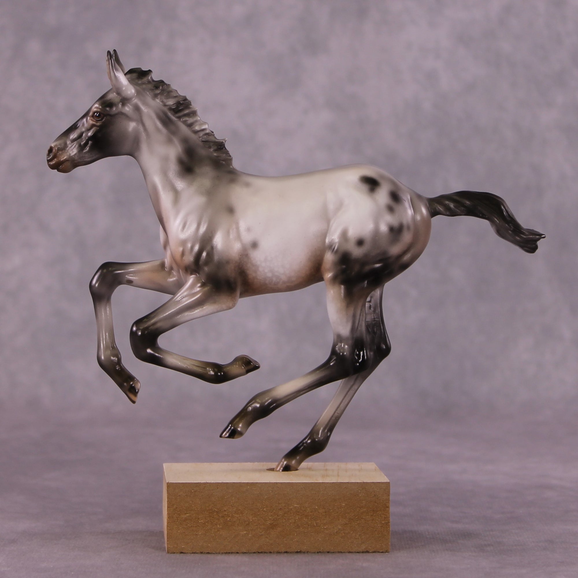 "Impact of Moths" OOAK Pimento Foal Blind Bag by Julie Keim SHCF25