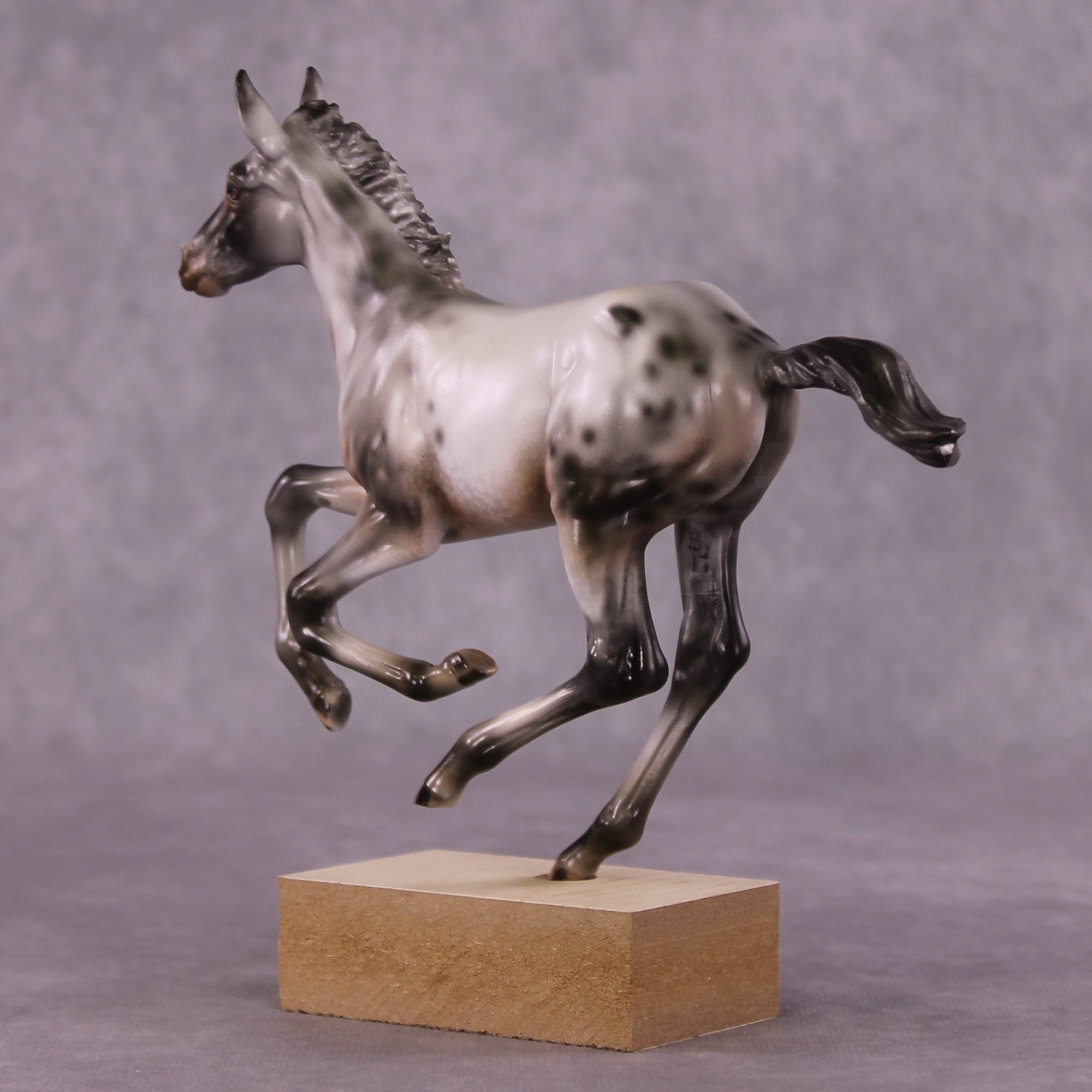 "Impact of Moths" OOAK Pimento Foal Blind Bag by Julie Keim SHCF25