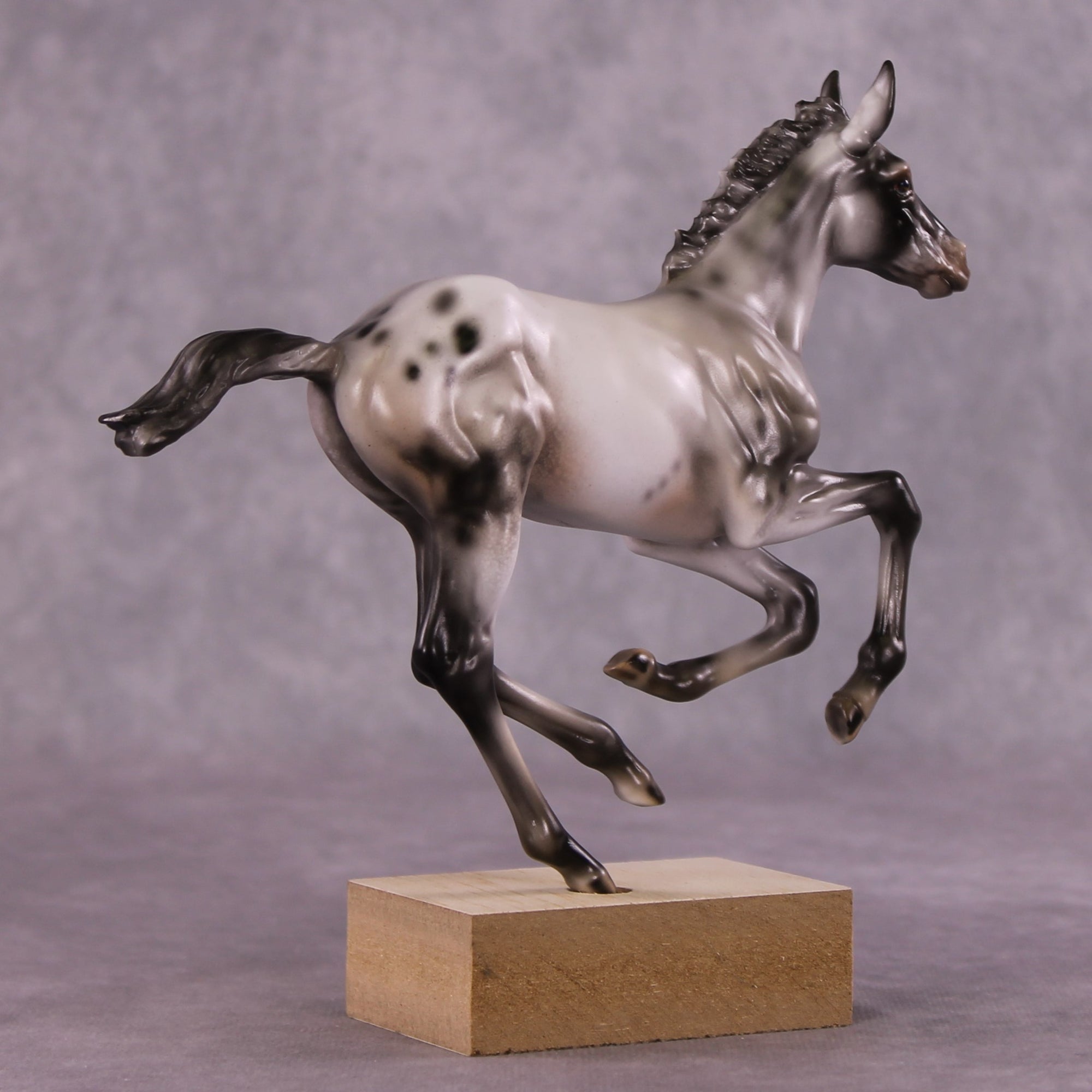 "Impact of Moths" OOAK Pimento Foal Blind Bag by Julie Keim SHCF25