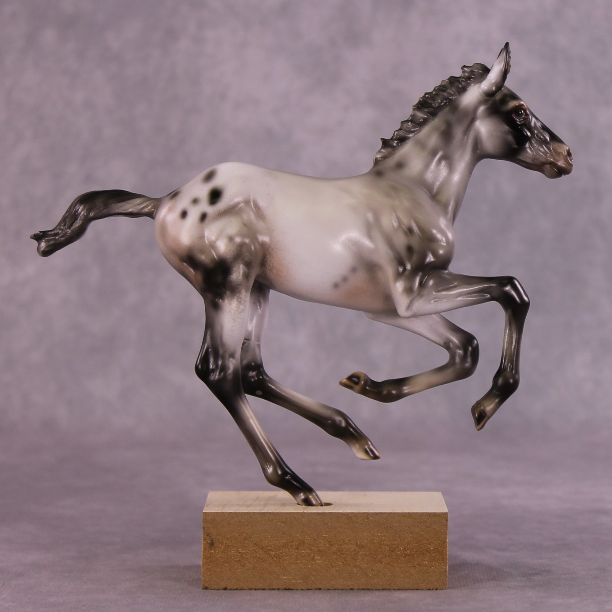 "Impact of Moths" OOAK Pimento Foal Blind Bag by Julie Keim SHCF25