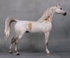 Laramie OOAK Bloody Shoulder Grey Custom Arabian Stallion By Sheryl Leisure Best Offers 9/17/24