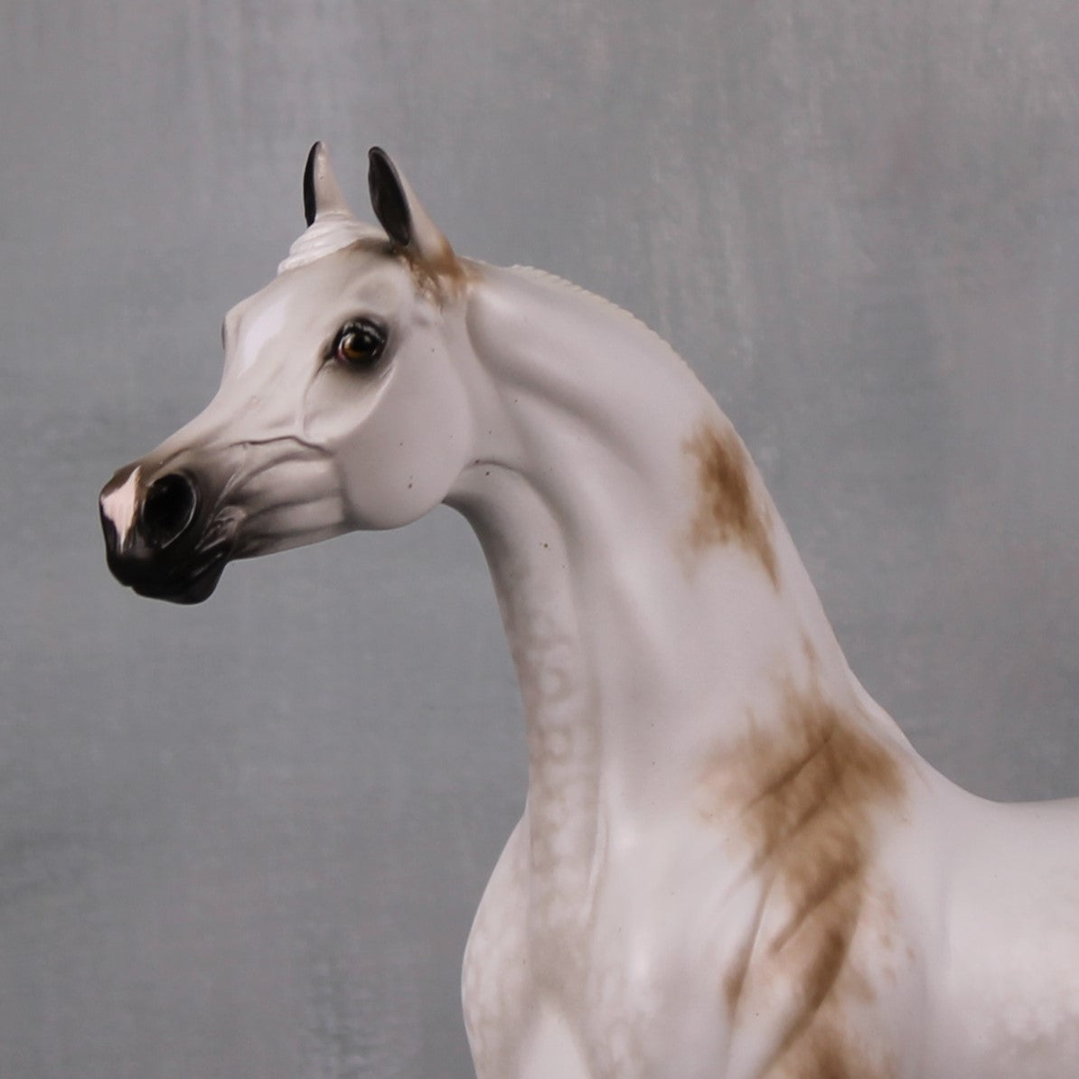 Laramie OOAK Bloody Shoulder Grey Custom Arabian Stallion By Sheryl Leisure Best Offers 9/17/24