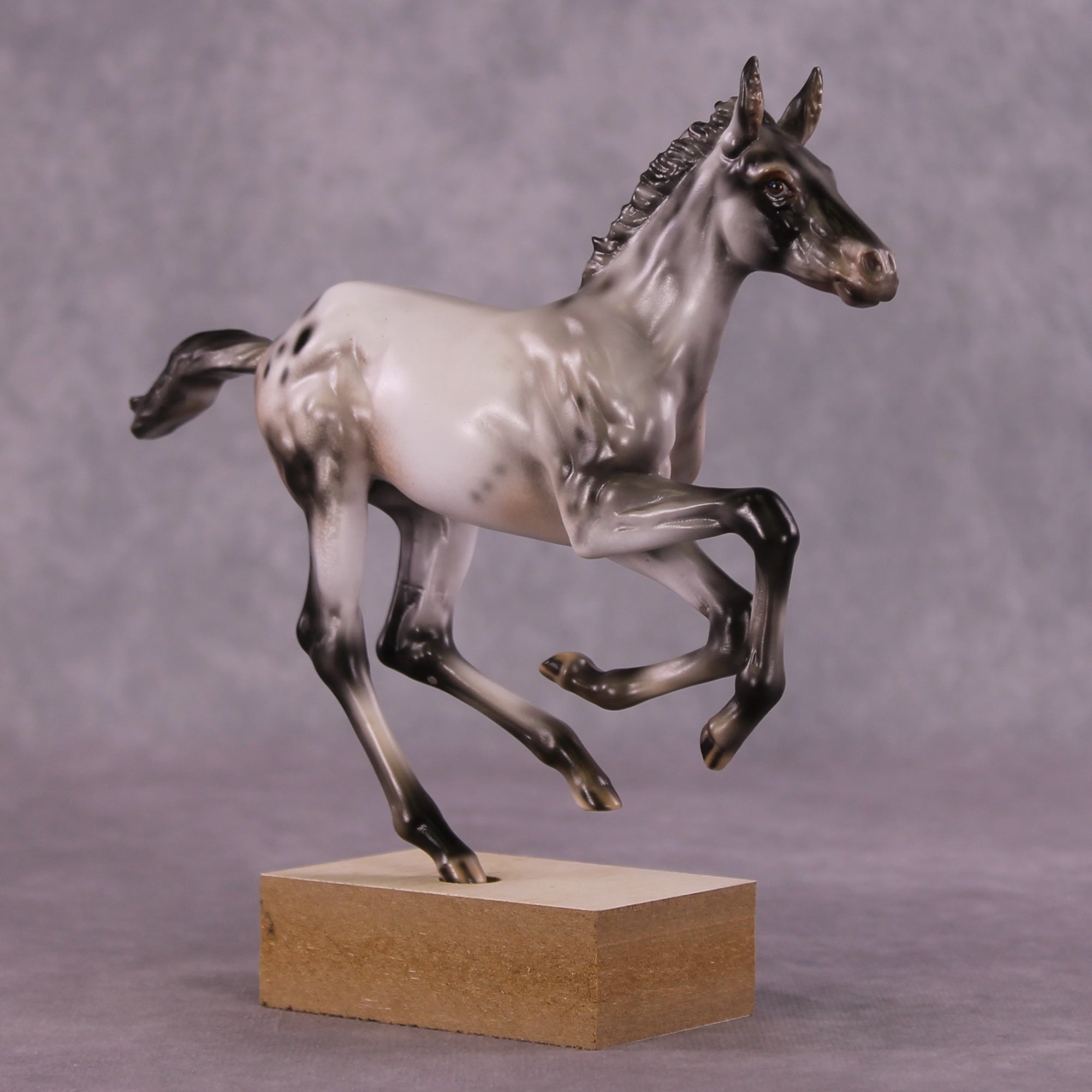 "Impact of Moths" OOAK Pimento Foal Blind Bag by Julie Keim SHCF25