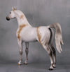 Laramie OOAK Bloody Shoulder Grey Custom Arabian Stallion By Sheryl Leisure Best Offers 9/17/24