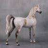 Laramie OOAK Bloody Shoulder Grey Custom Arabian Stallion By Sheryl Leisure Best Offers 9/17/24