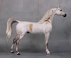 Laramie OOAK Bloody Shoulder Grey Custom Arabian Stallion By Sheryl Leisure Best Offers 9/17/24