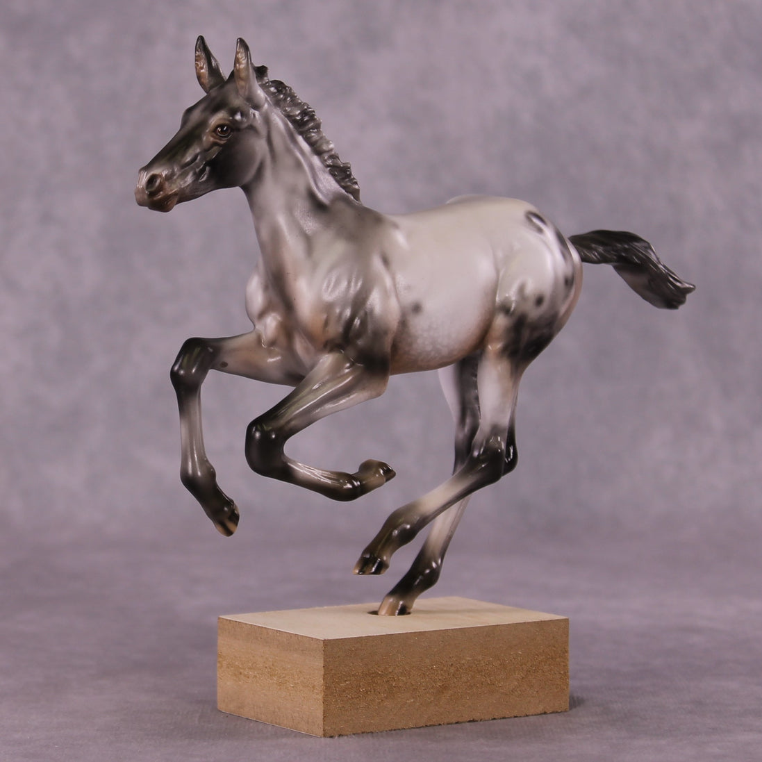 "Impact of Moths" OOAK Pimento Foal Blind Bag by Julie Keim SHCF25