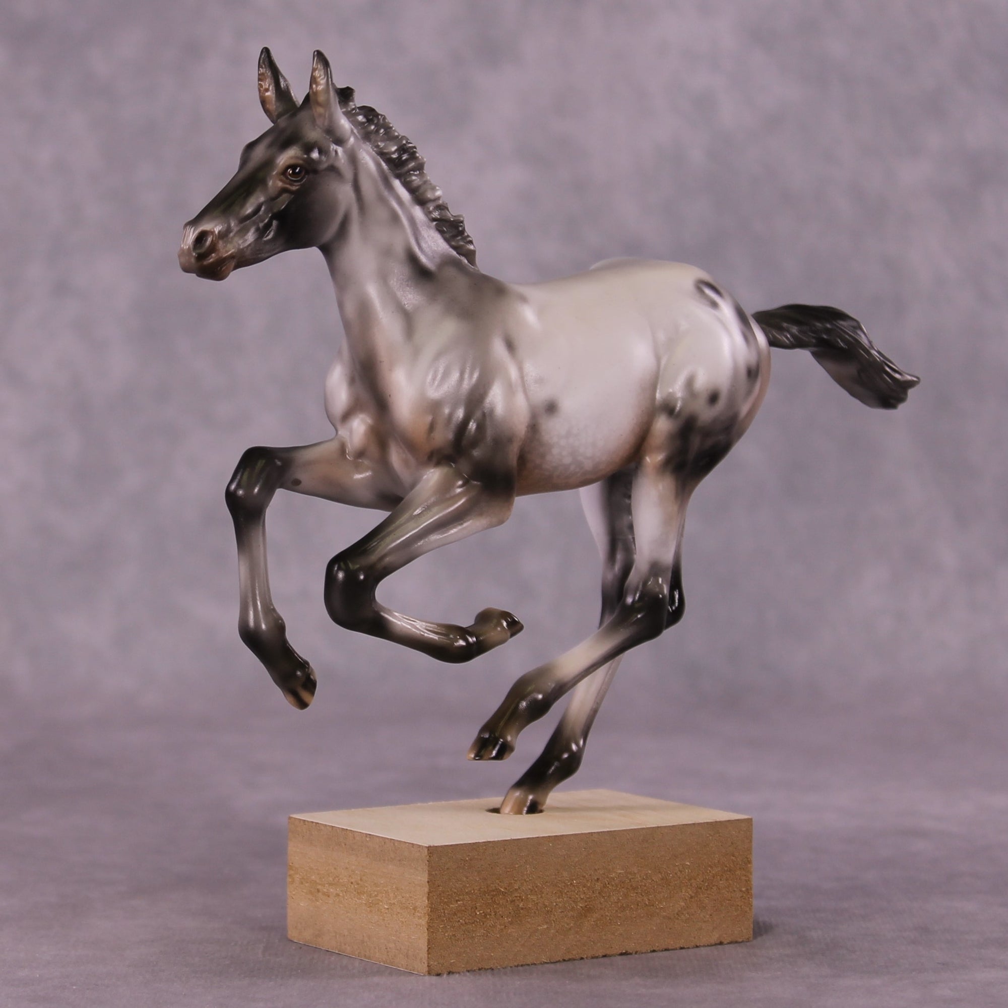 "Impact of Moths" OOAK Pimento Foal Blind Bag by Julie Keim SHCF25