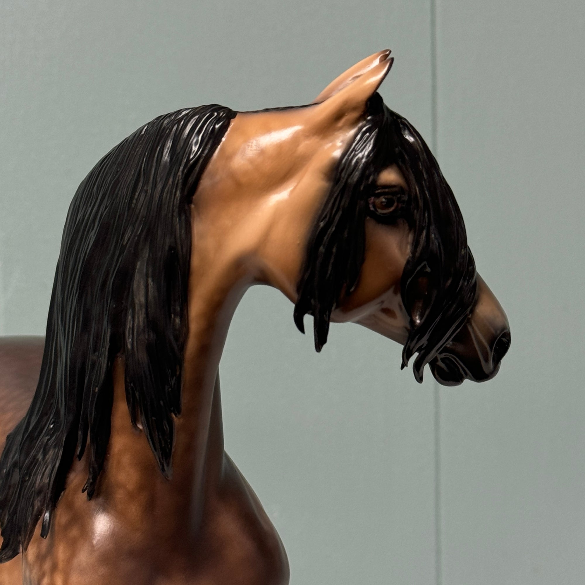 Toss and Turn OOAK Dappled Buckskin Morgan By Sheryl Leisure By Best Offers 7/9/24