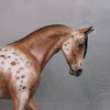 Manzanita OOAK Bay Appaloosa Custom Thoroughbred By Sheryl Leisure Best Offers Best Offer 9/17/24