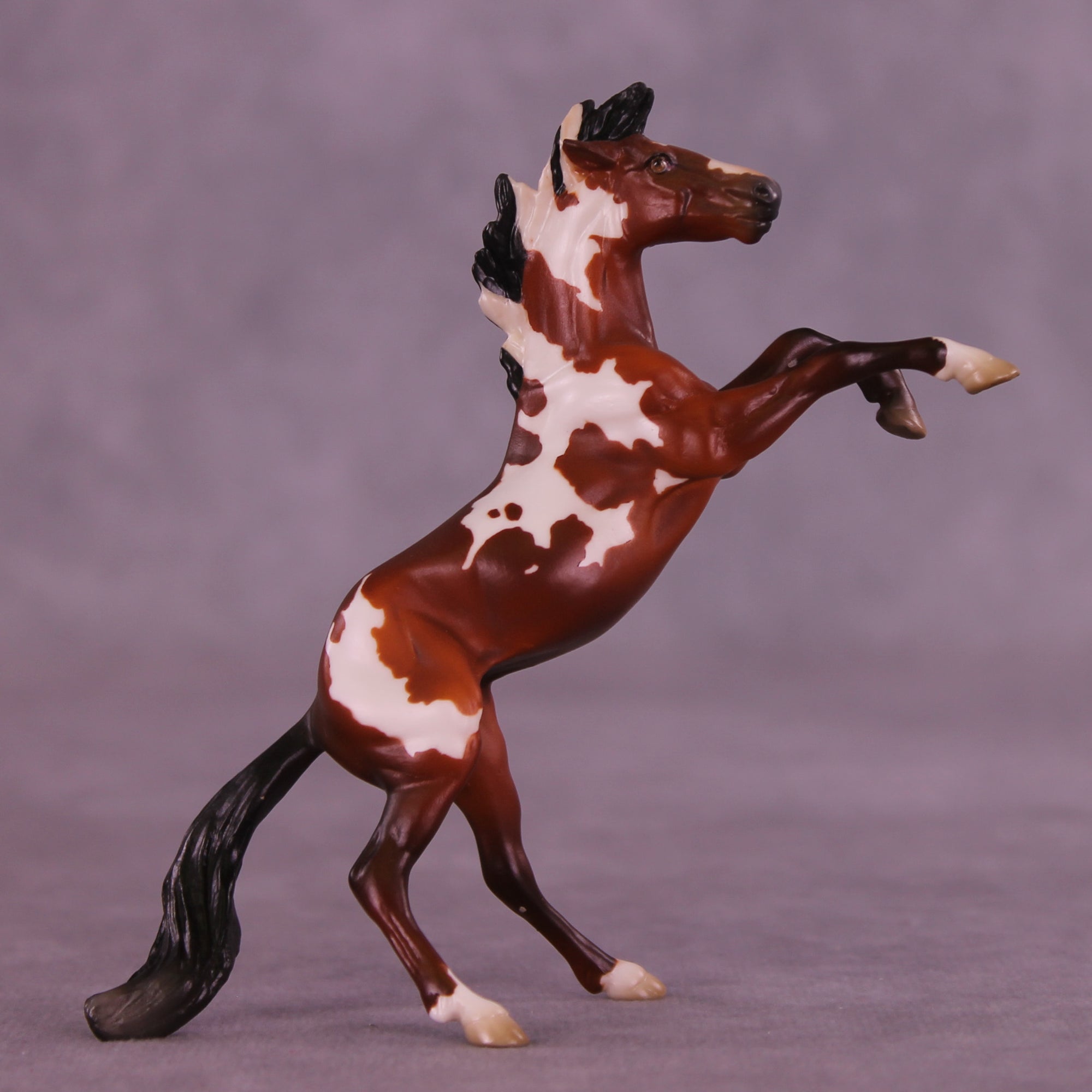Mini Muse OOAK FCM Chip Mustang by Jess Hamill &amp; Melanie Miller SCD26