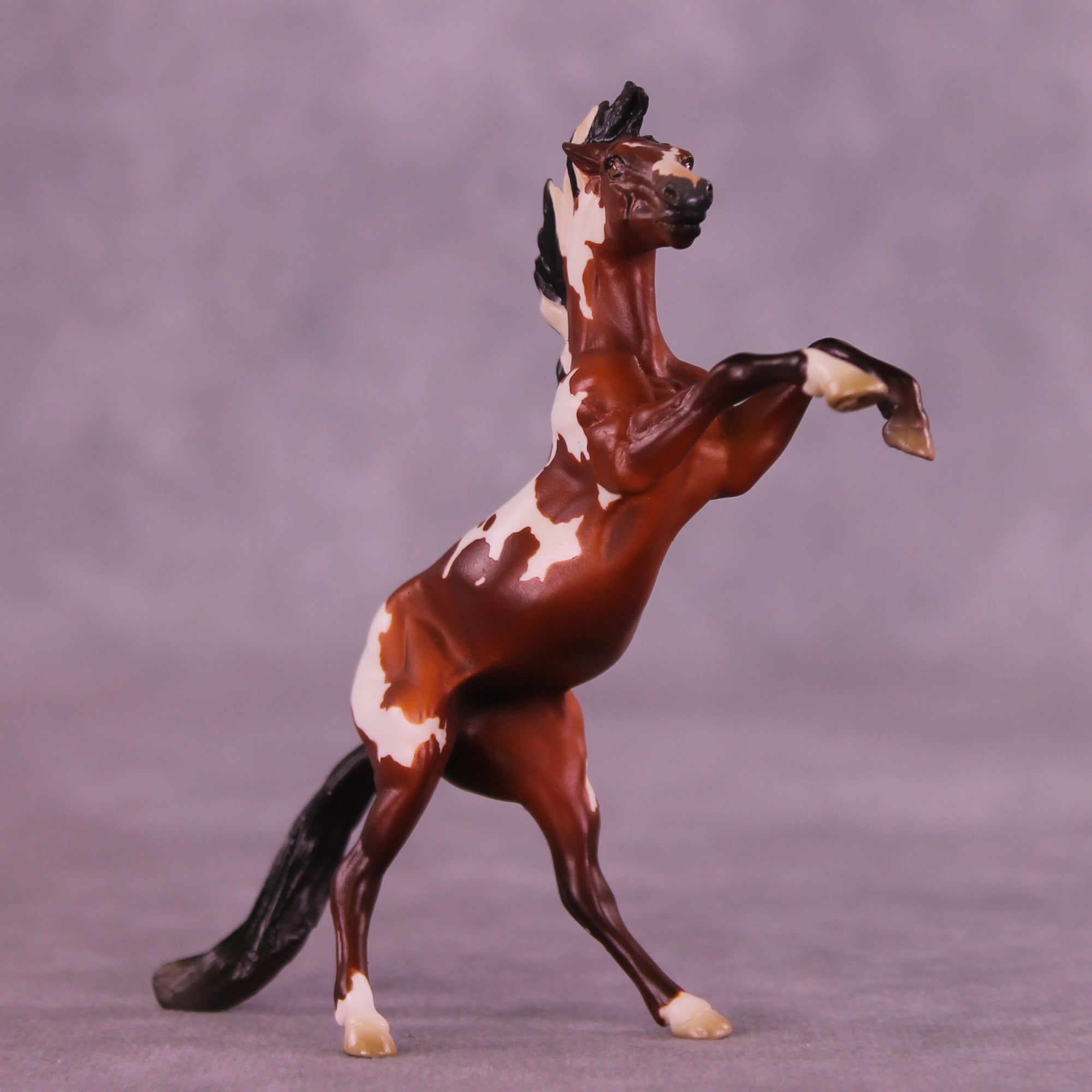 Mini Muse OOAK FCM Chip Mustang by Jess Hamill &amp; Melanie Miller SCD26
