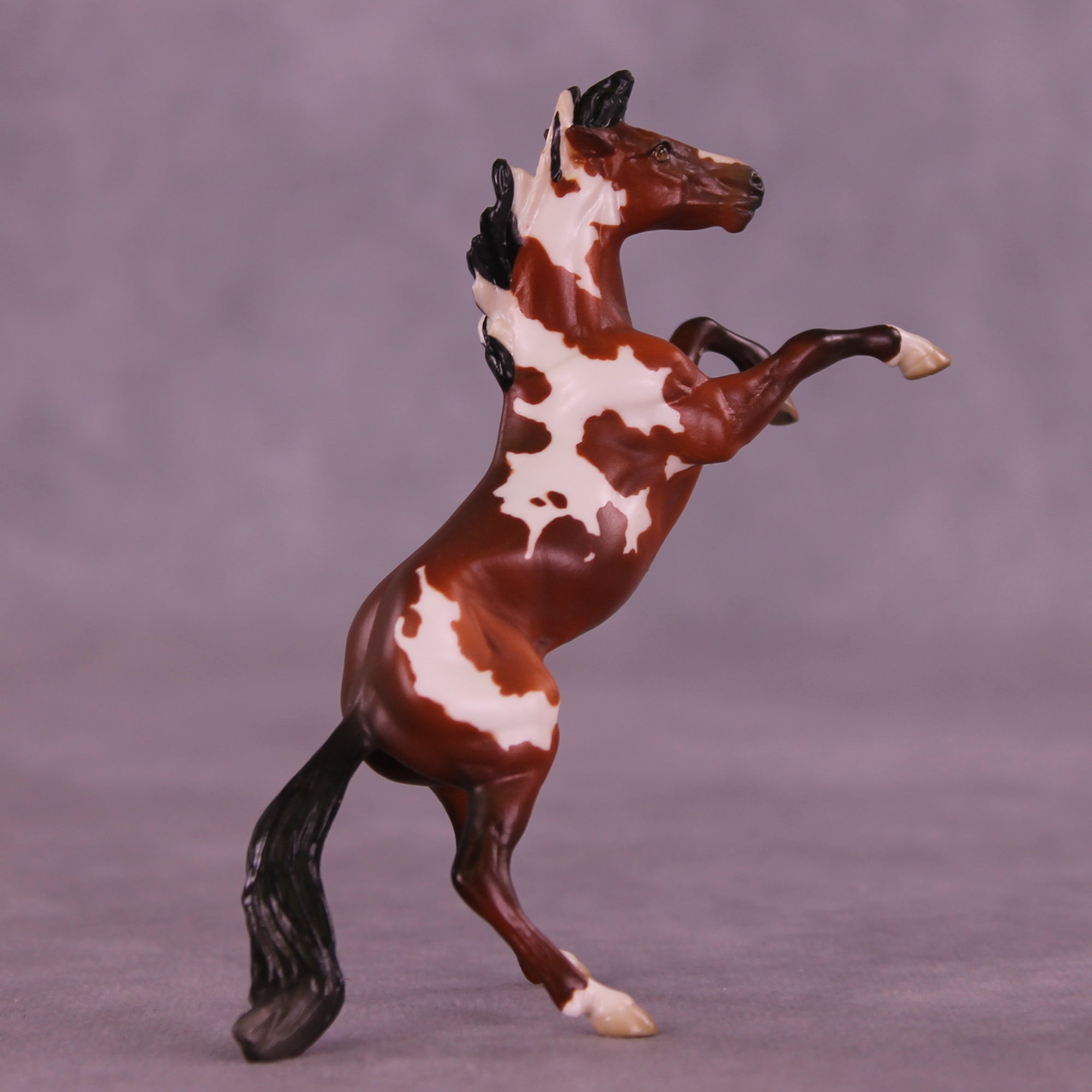 Mini Muse OOAK FCM Chip Mustang by Jess Hamill &amp; Melanie Miller SCD26