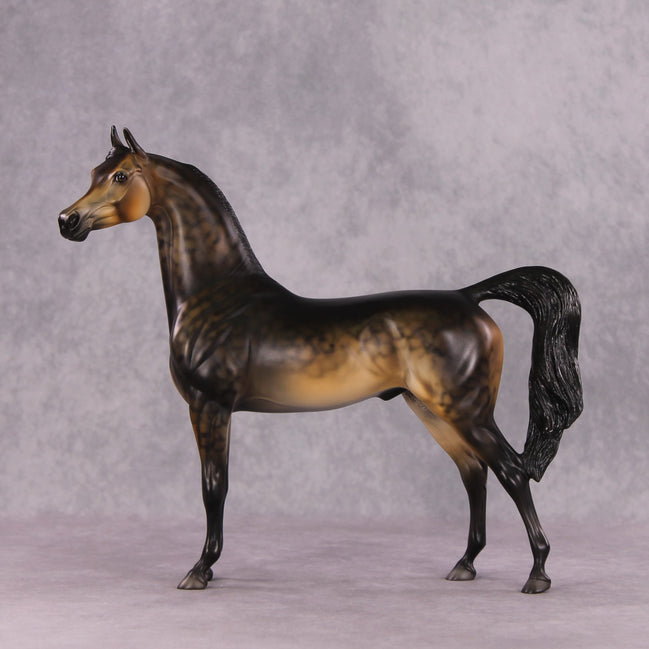 "Potato" OOAK Arabian by Dawn Quick SHCF25OS